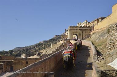04 Fort_Amber_and Elephants,_Jaipur_DSC4998_b_H600
